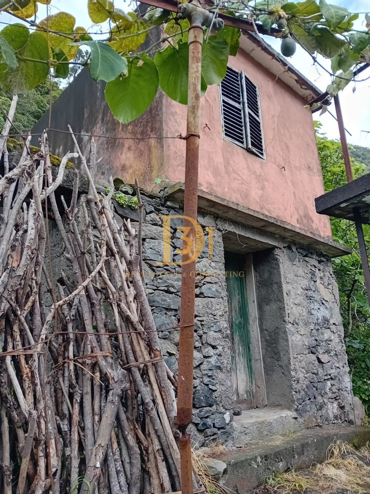 Moradia T2 para Venda em São Vicente Foto 3