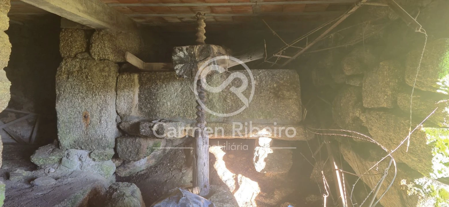 Quinta T10 para Venda em Rossas Foto 35