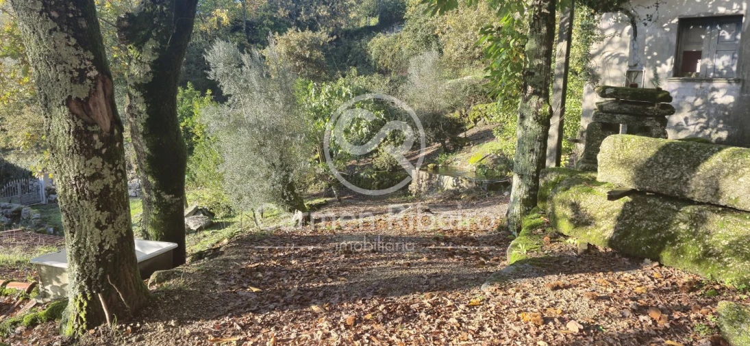 Quinta T10 para Venda em Rossas Foto 7