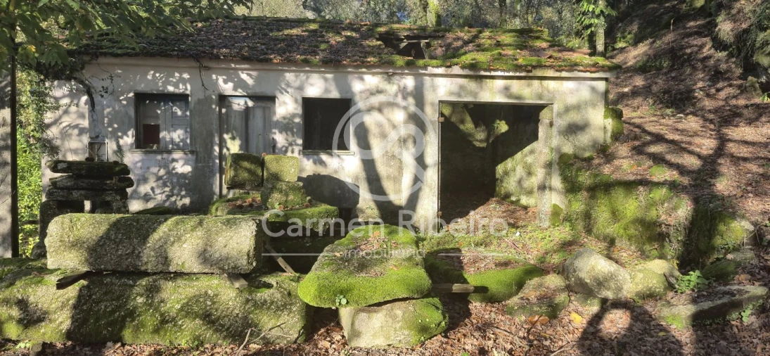 Quinta T10 para Venda em Rossas Foto 11