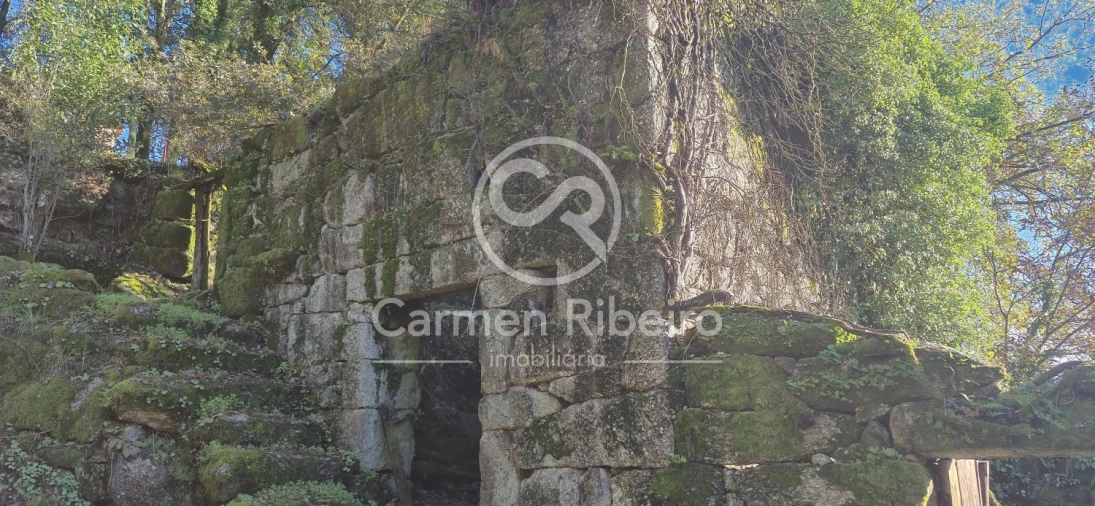 Quinta T10 para Venda em Rossas Foto 19