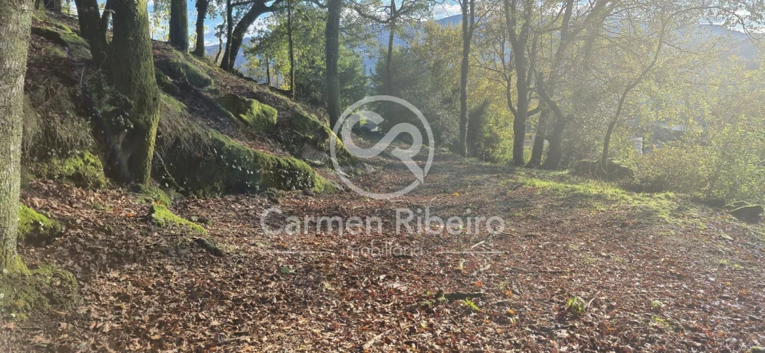 Quinta T10 para Venda em Rossas Foto 8