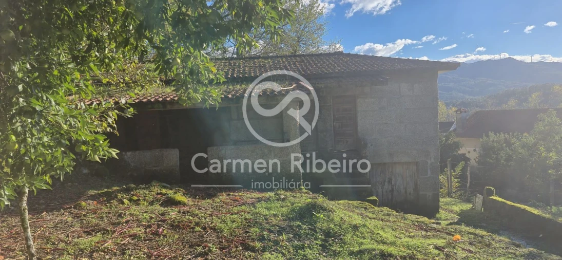 Quinta T10 para Venda em Rossas Foto 27