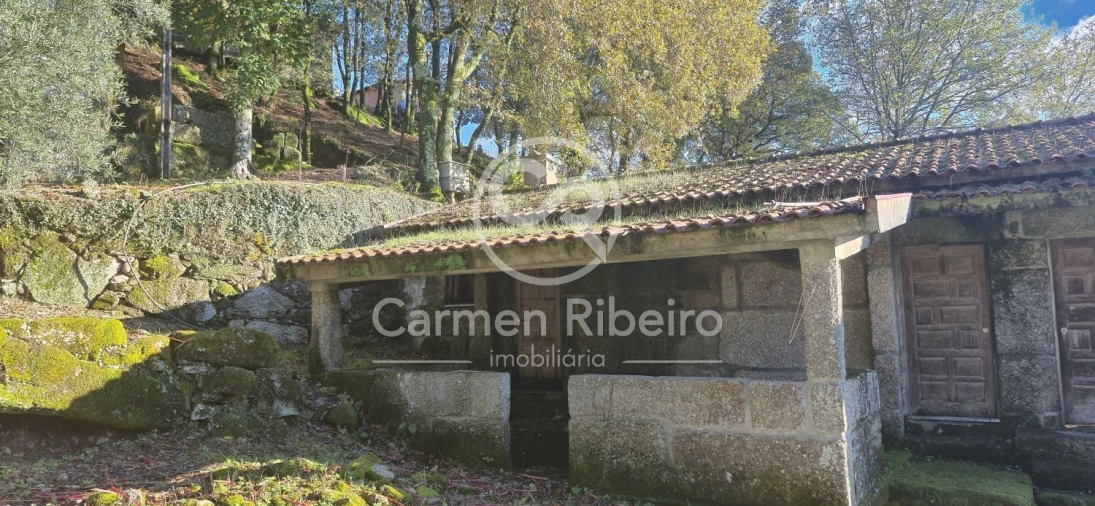 Quinta T10 para Venda em Rossas Foto 28