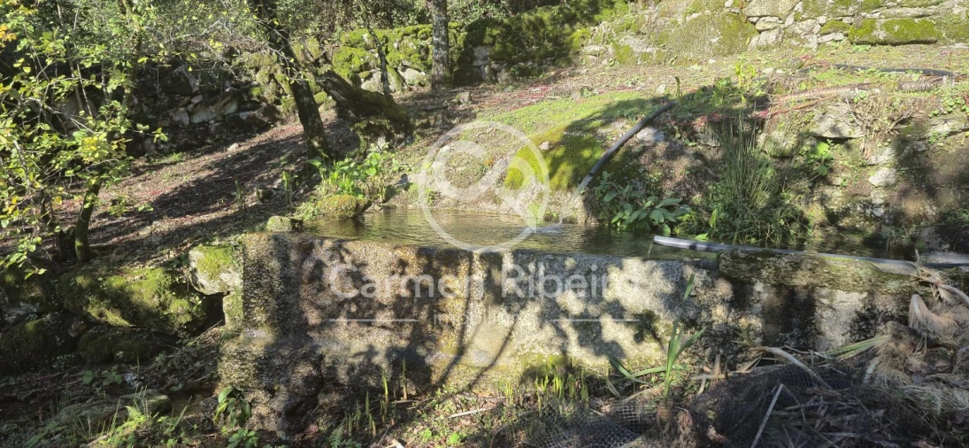 Quinta T10 para Venda em Rossas Foto 51