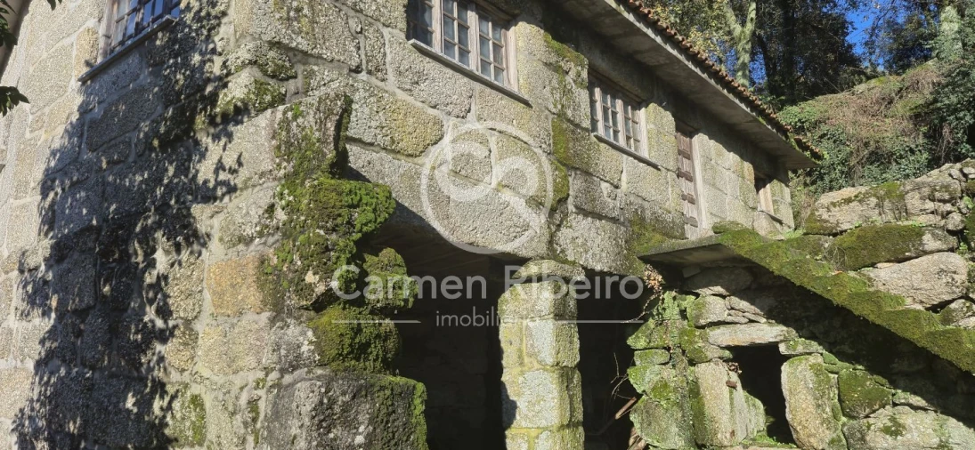 Quinta T10 para Venda em Rossas Foto 30