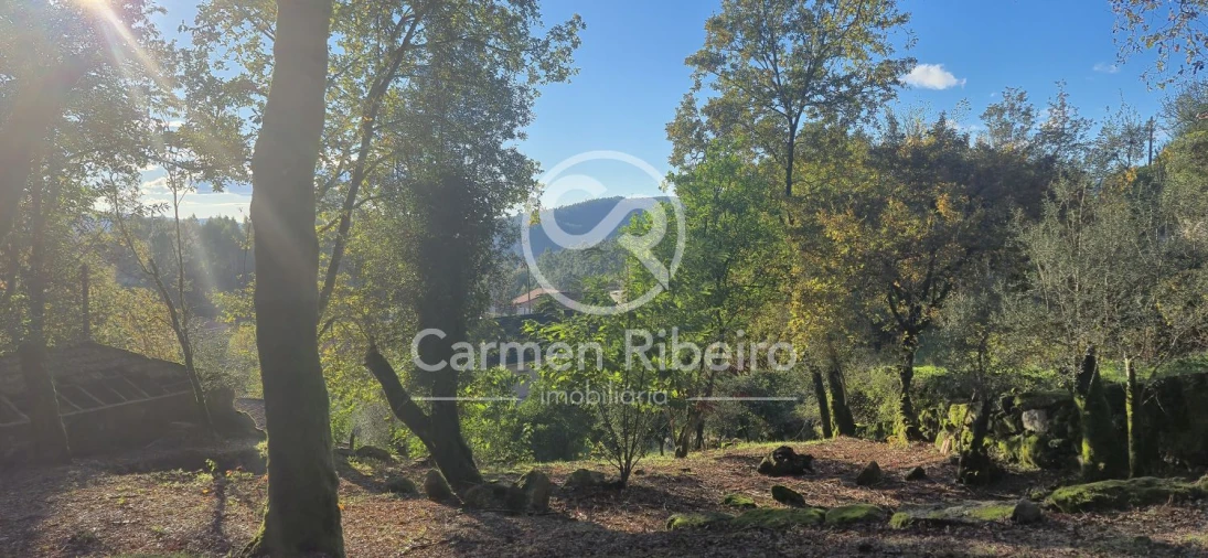 Quinta T10 para Venda em Rossas Foto 6