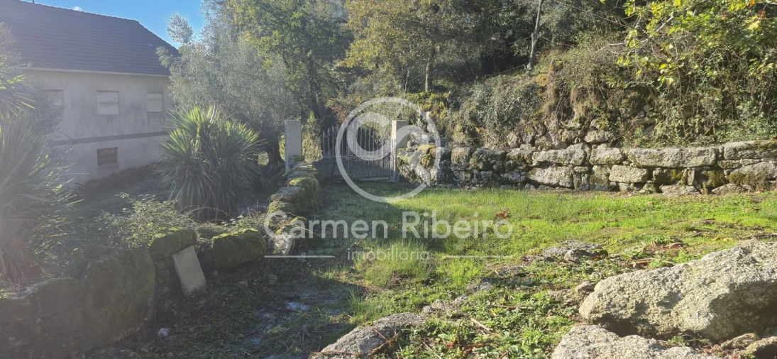 Quinta T10 para Venda em Rossas Foto 25