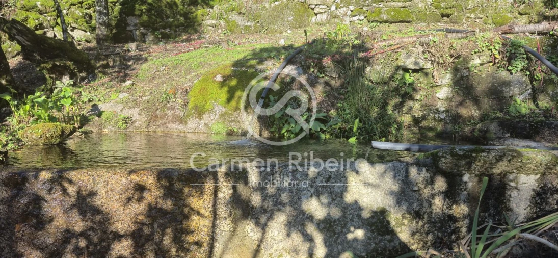 Quinta T10 para Venda em Rossas Foto 53