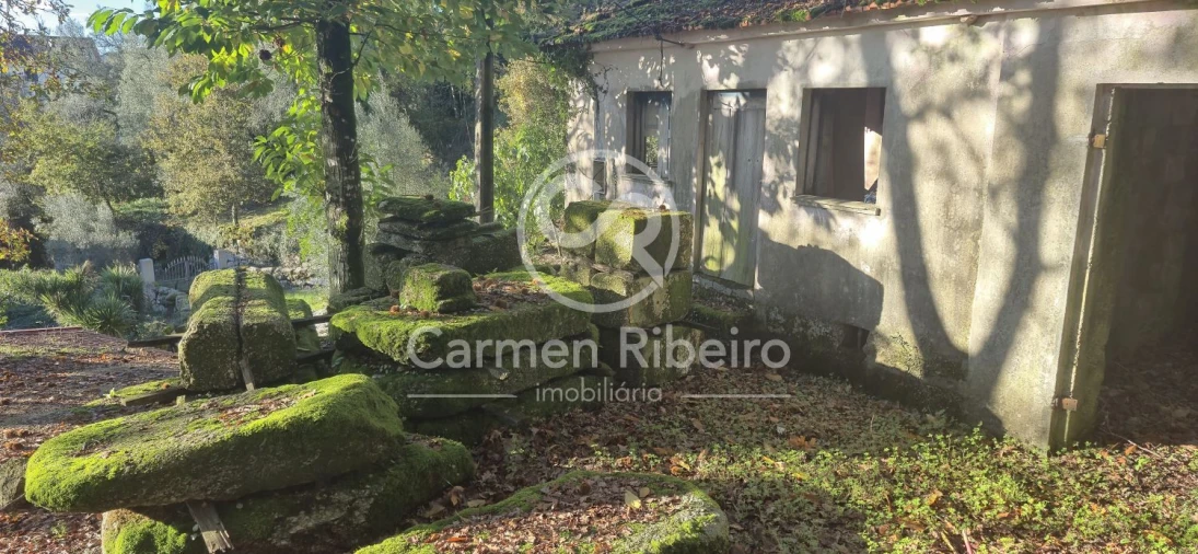 Quinta T10 para Venda em Rossas Foto 10