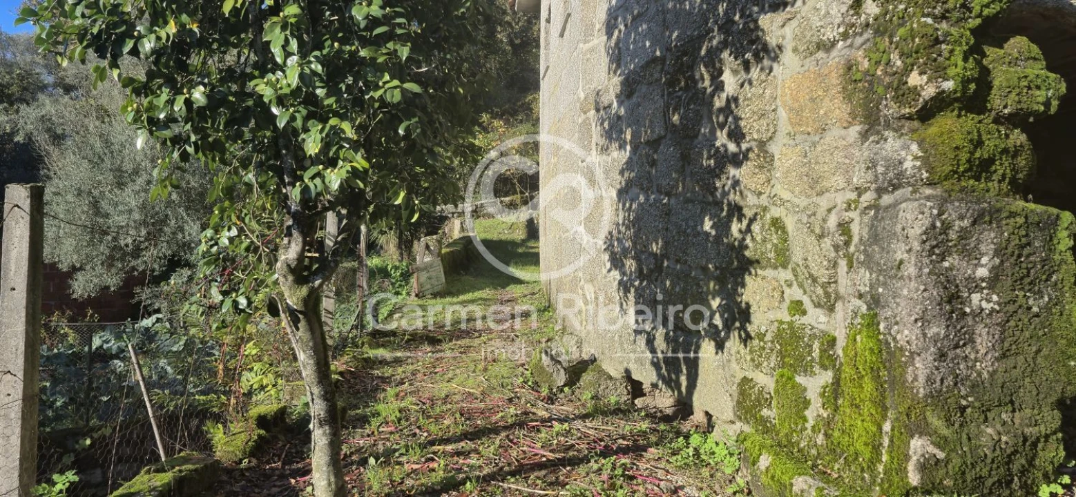 Quinta T10 para Venda em Rossas Foto 31