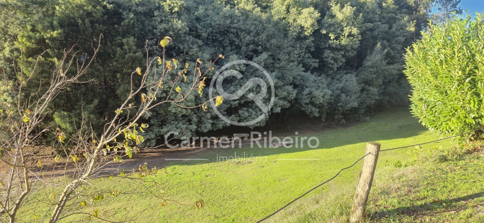 Quinta T10 para Venda em Rossas Foto 59