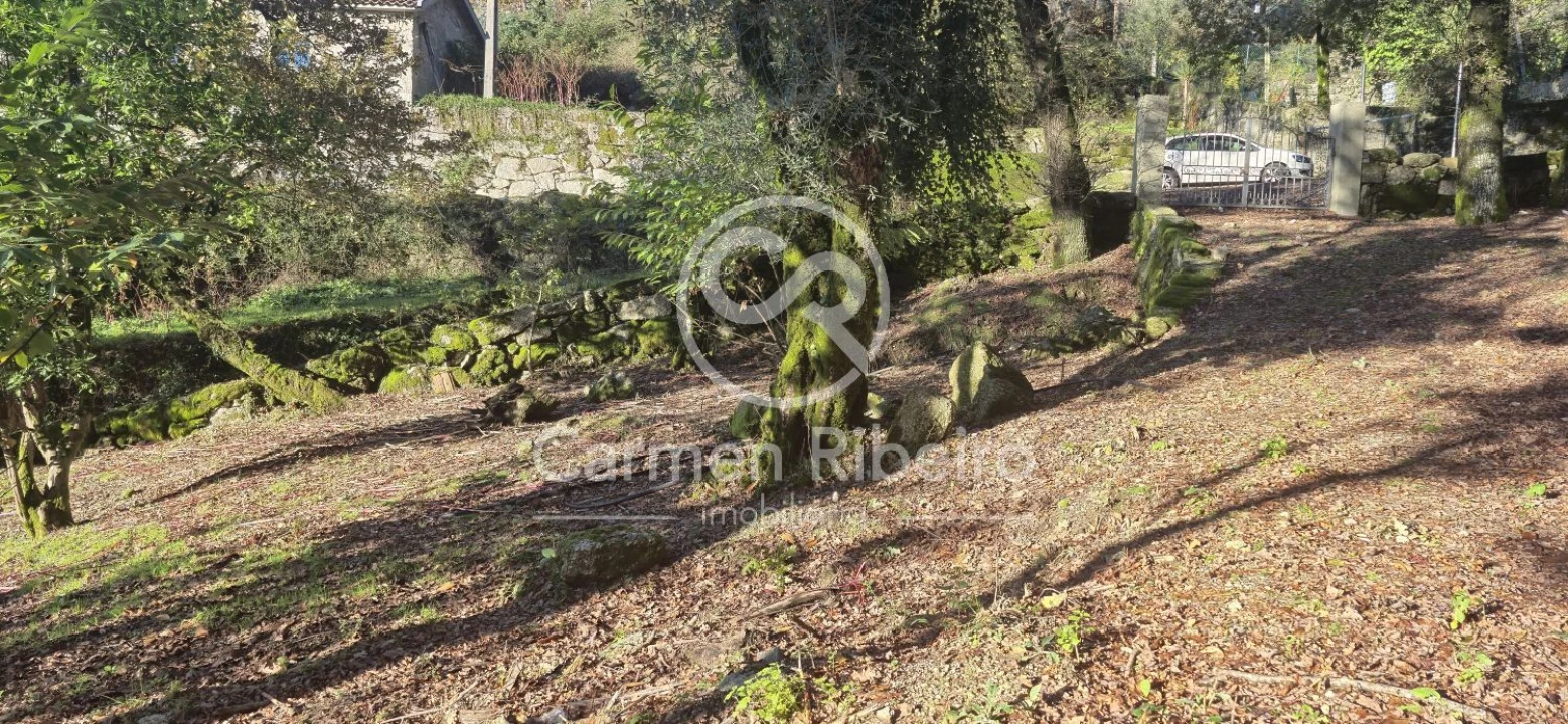 Quinta T10 para Venda em Rossas Foto 4