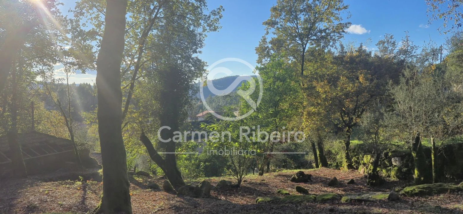 Quinta T10 para Venda em Rossas Foto 6