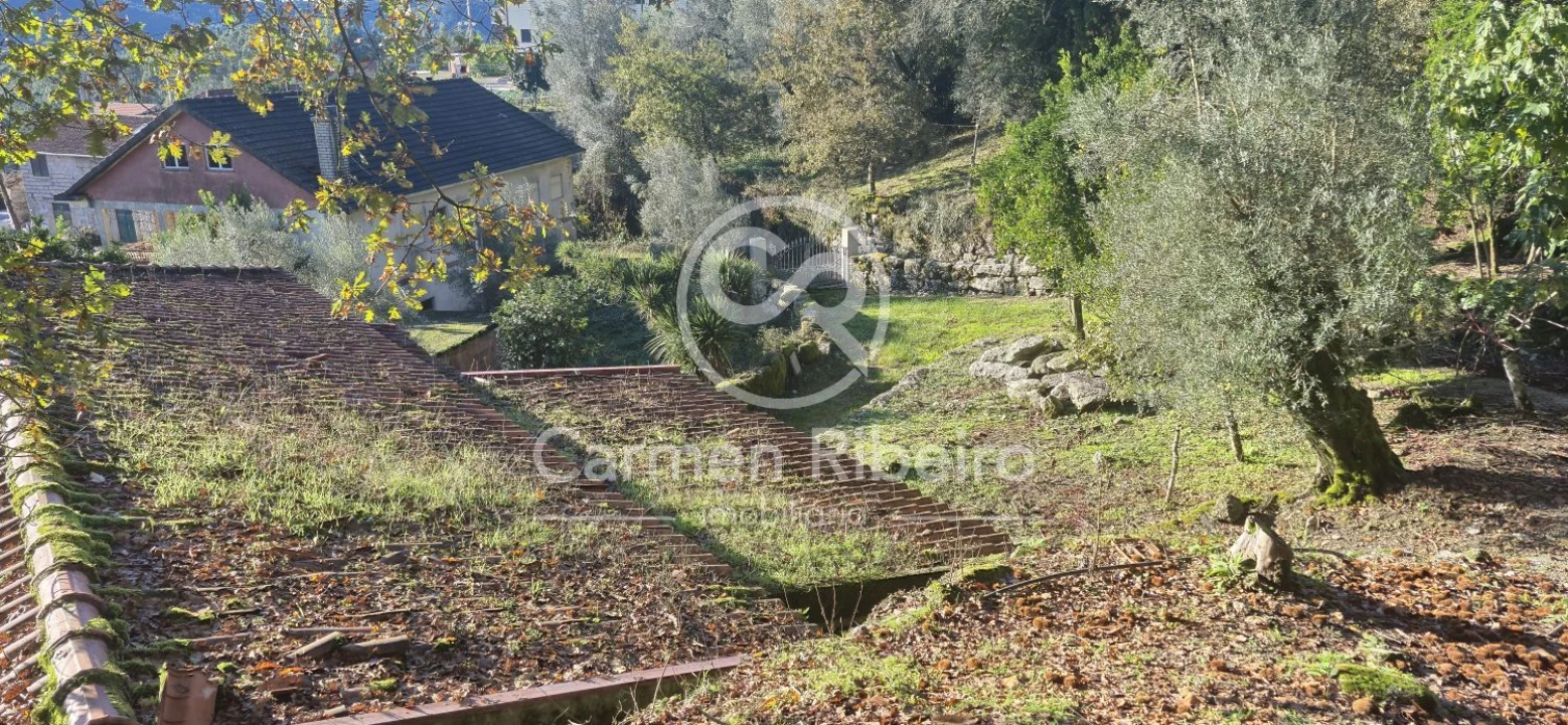 Quinta T10 para Venda em Rossas Foto 21