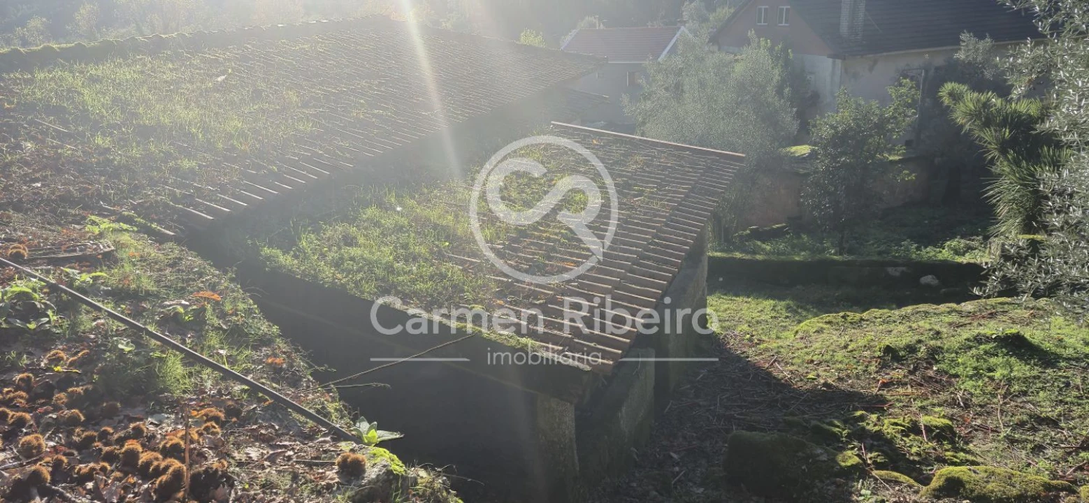 Quinta T10 para Venda em Rossas Foto 23