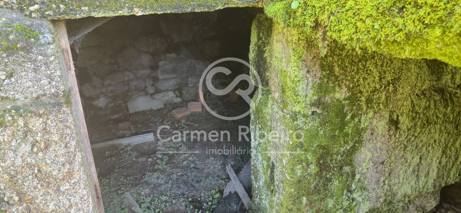 Quinta T10 para Venda em Rossas Foto 37