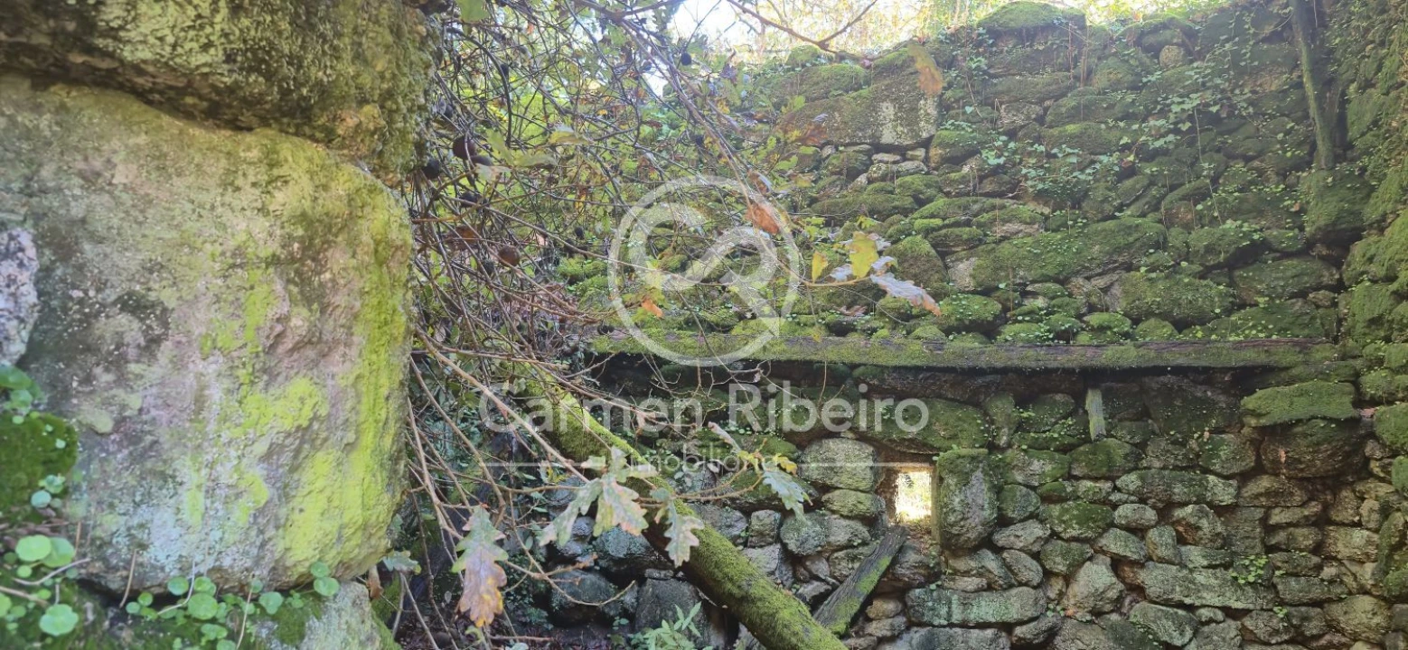 Quinta T10 para Venda em Rossas Foto 20