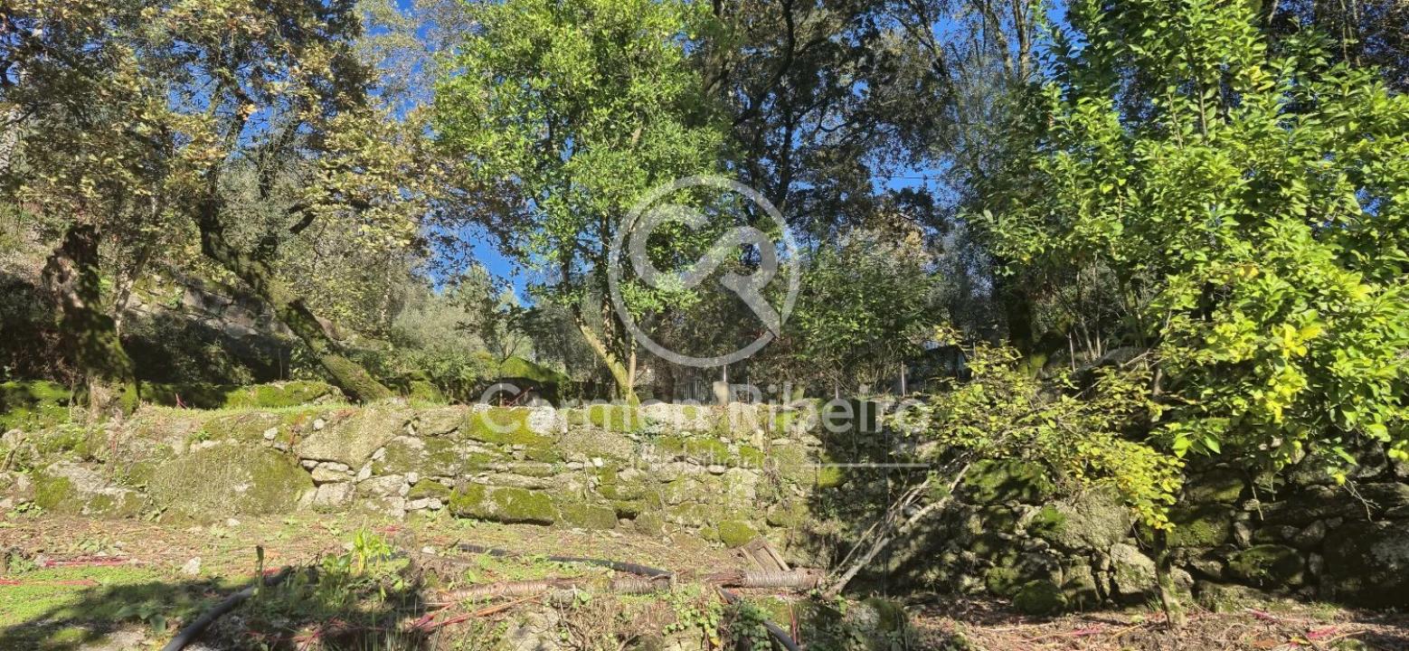 Quinta T10 para Venda em Rossas Foto 52