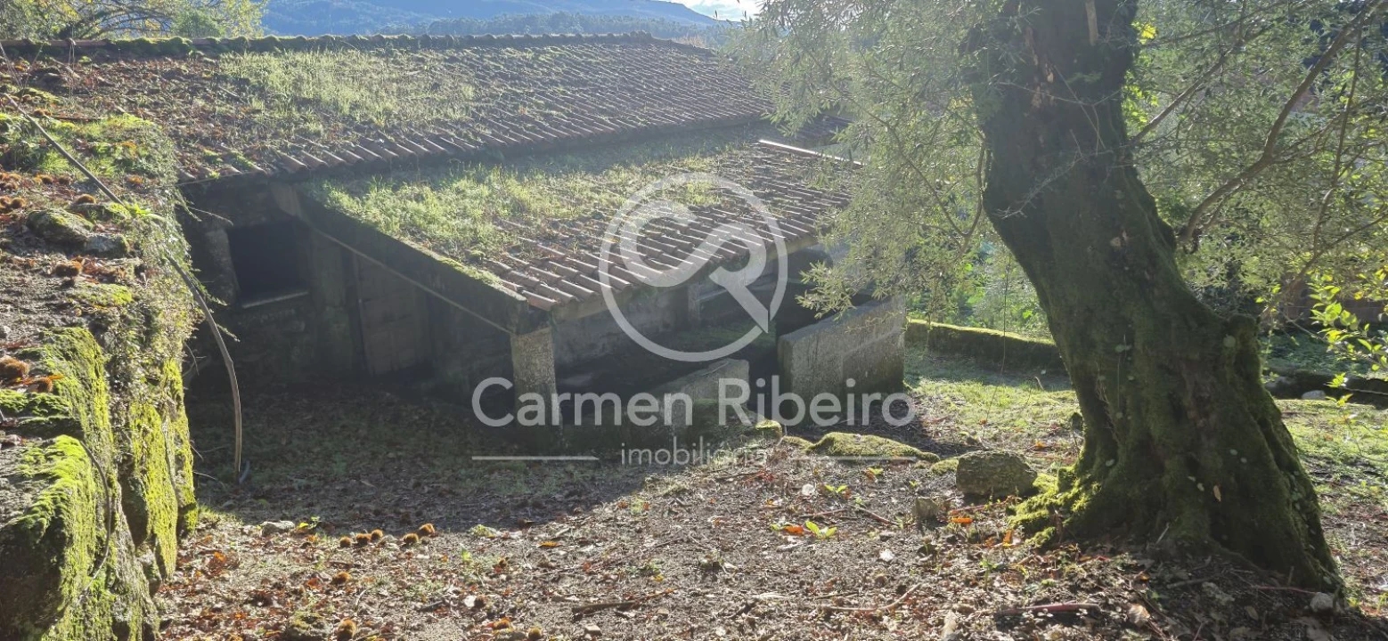 Quinta T10 para Venda em Rossas Foto 26