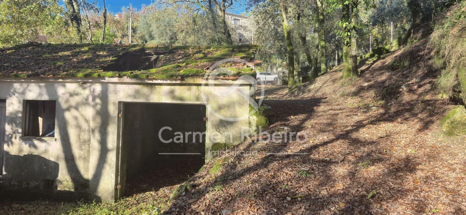 Quinta T10 para Venda em Rossas Foto 9