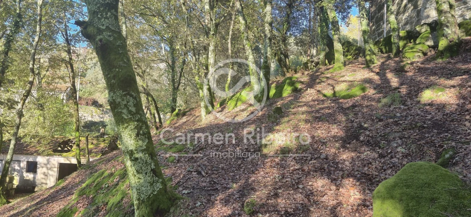 Quinta T10 para Venda em Rossas Foto 16