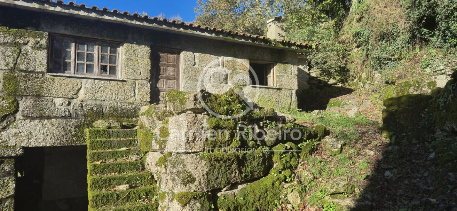 Quinta T10 para Venda em Rossas Foto 33