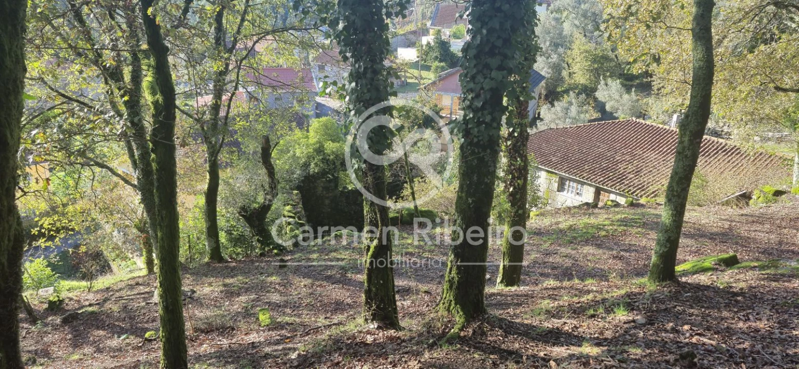 Quinta T10 para Venda em Rossas Foto 14