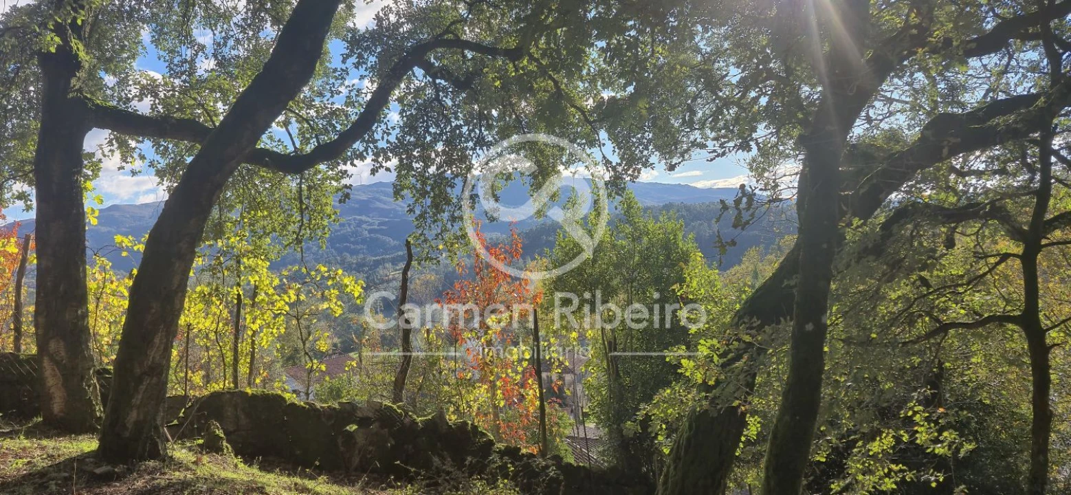 Quinta T10 para Venda em Rossas Foto 15