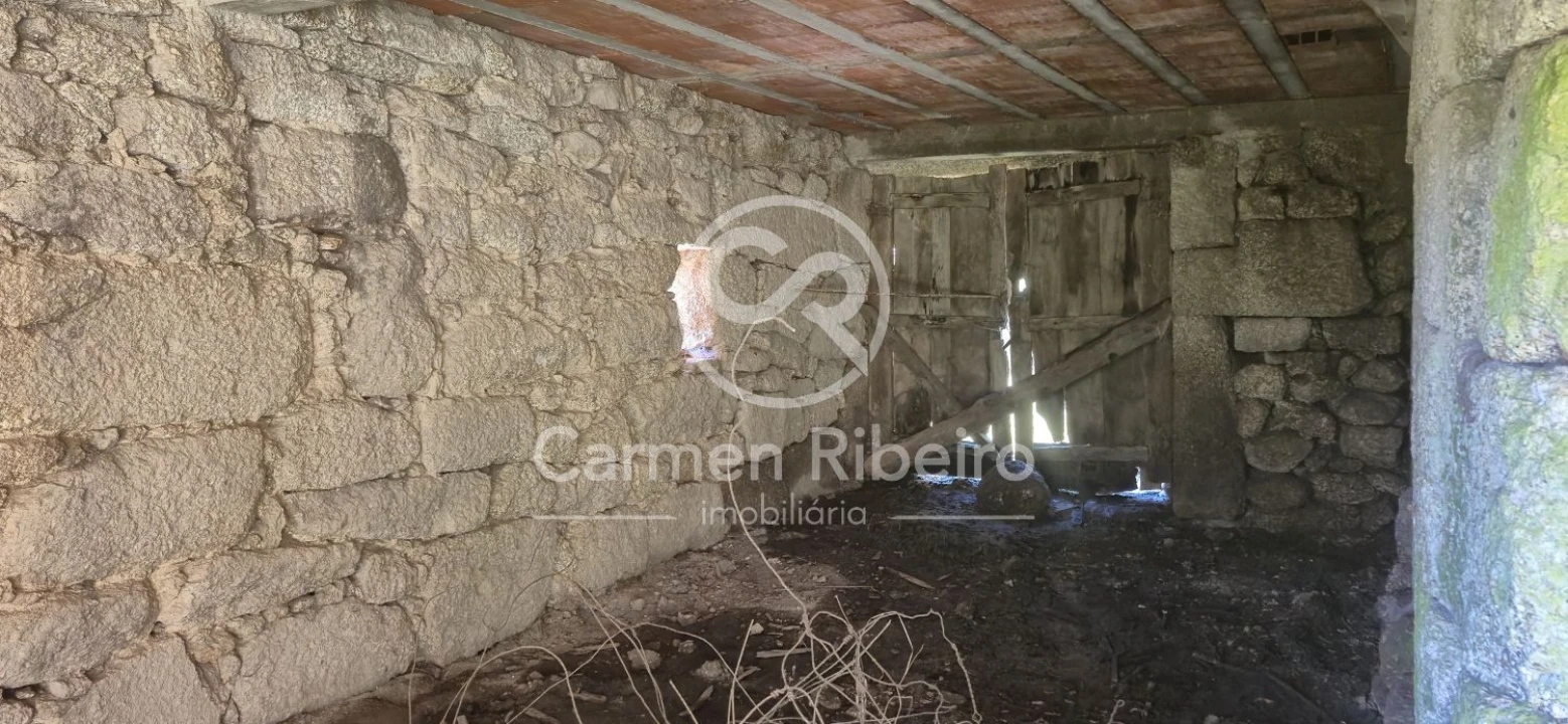 Quinta T10 para Venda em Rossas Foto 34