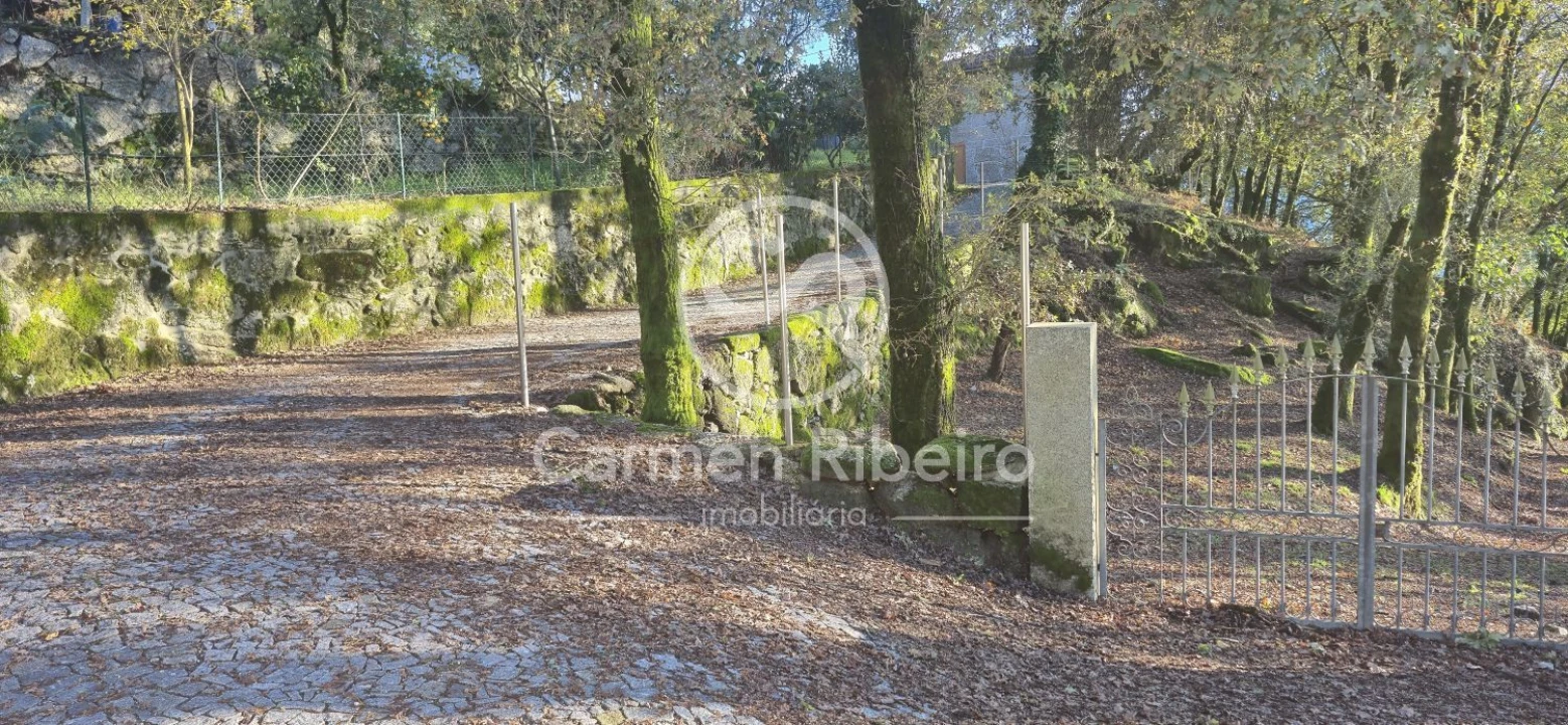 Quinta T10 para Venda em Rossas Foto 1