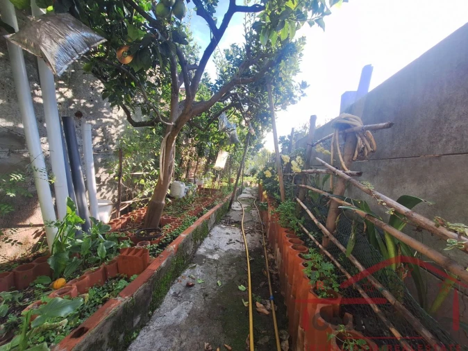 Moradia T3 para Venda em Bombarral e Vale Covo Foto 34