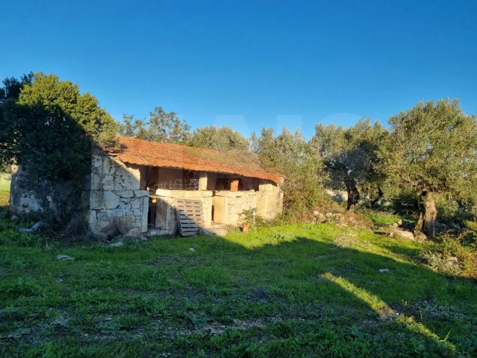 Moradia T3 para Venda em Alcanede Foto 3