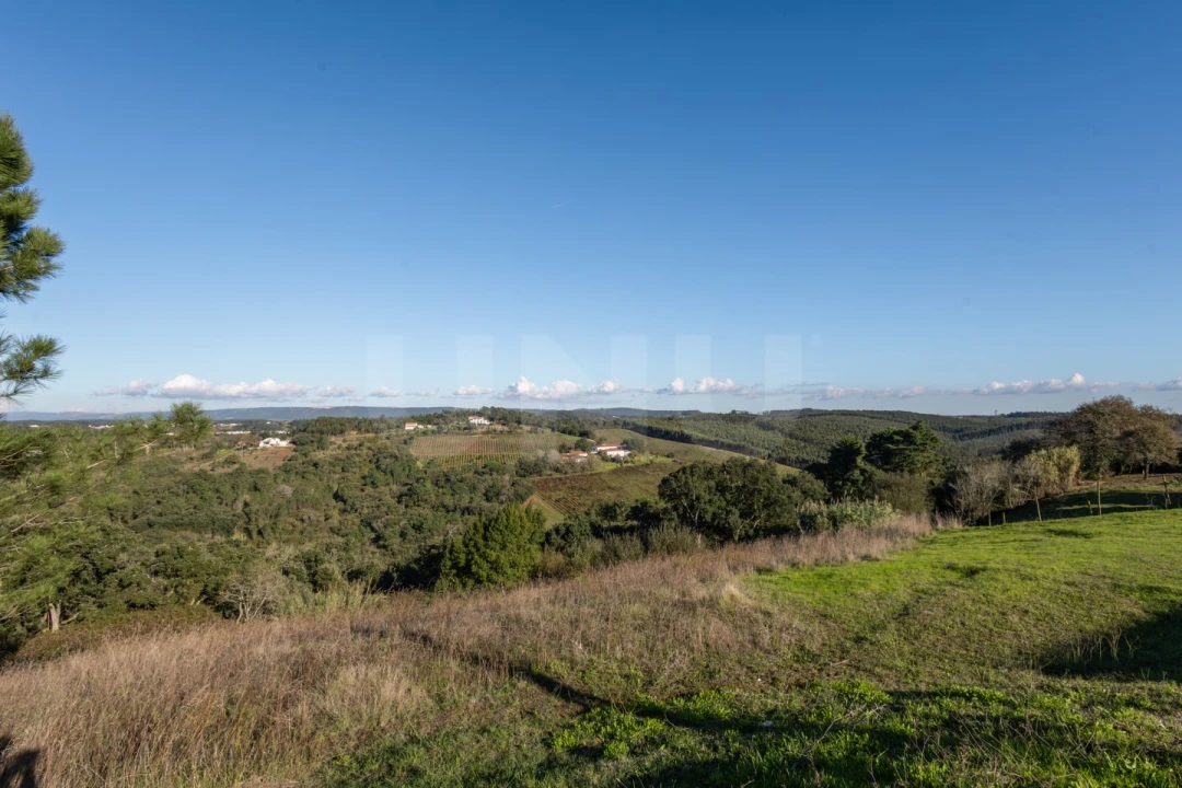 Moradia T3 para Venda em Alvorninha Foto 49