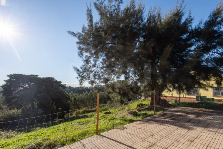 Moradia T3 para Venda em Alvorninha Foto 43