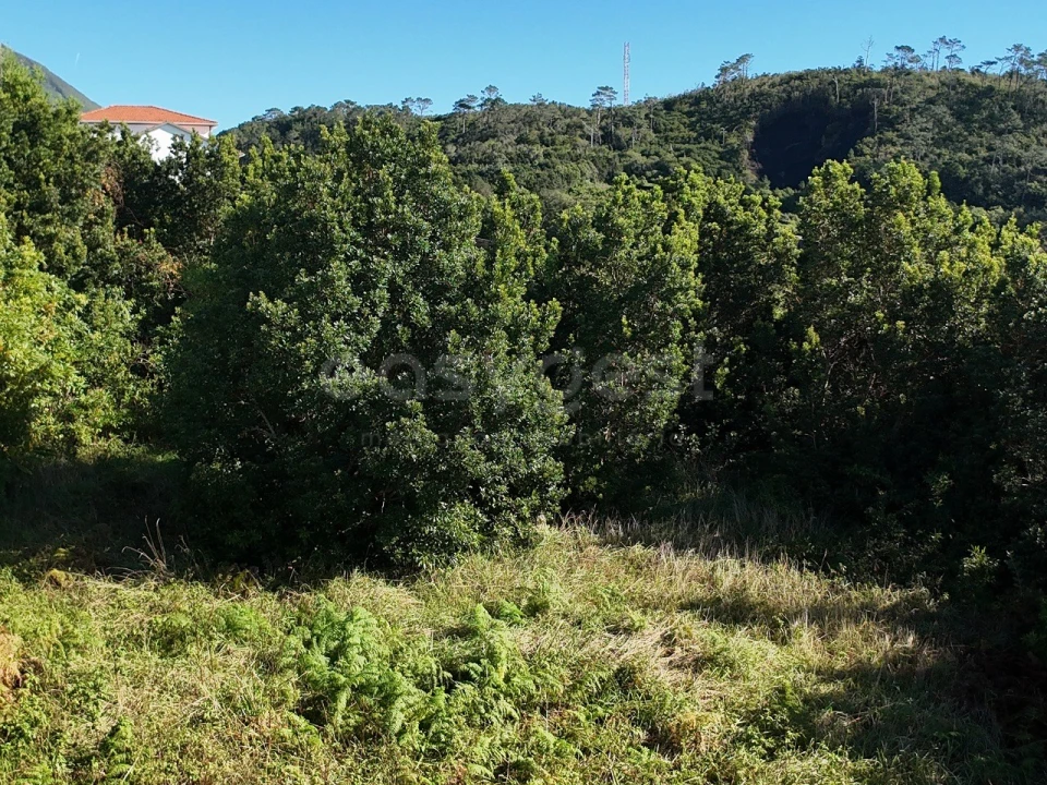 Terreno para Venda em São Mateus Foto 5