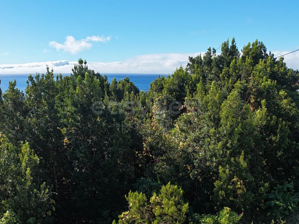 Terreno para Venda em São Mateus Foto 9