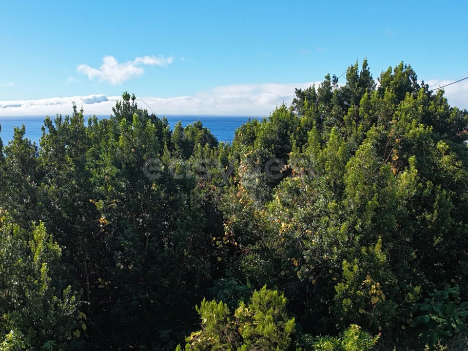 Terreno para Venda em São Mateus Foto 2