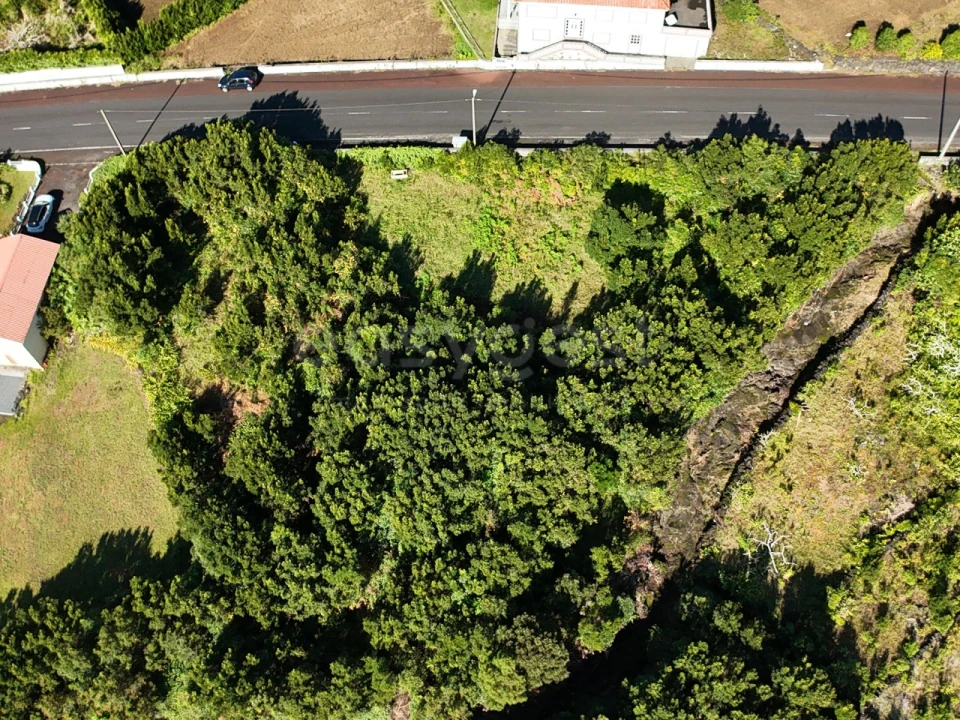 Terreno para Venda em São Mateus Foto 4