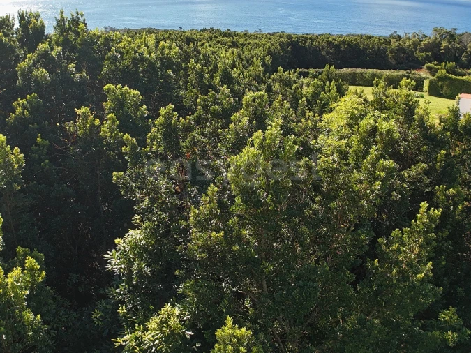Terreno para Venda em São Mateus Foto 6