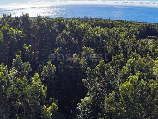 Terreno para Venda em São Mateus Foto 7