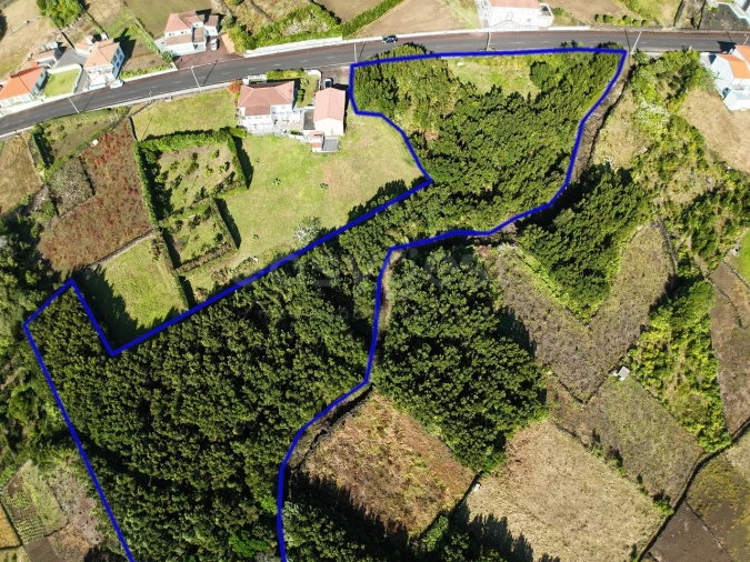 Terreno para Venda em São Mateus Foto 8