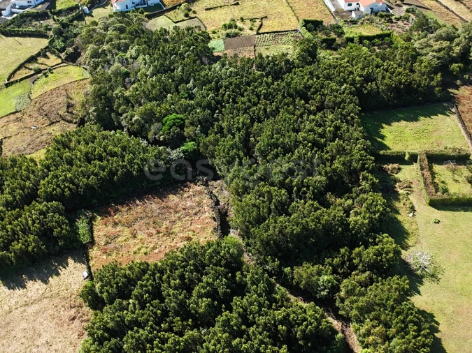 Terreno para Venda em São Mateus Foto 12