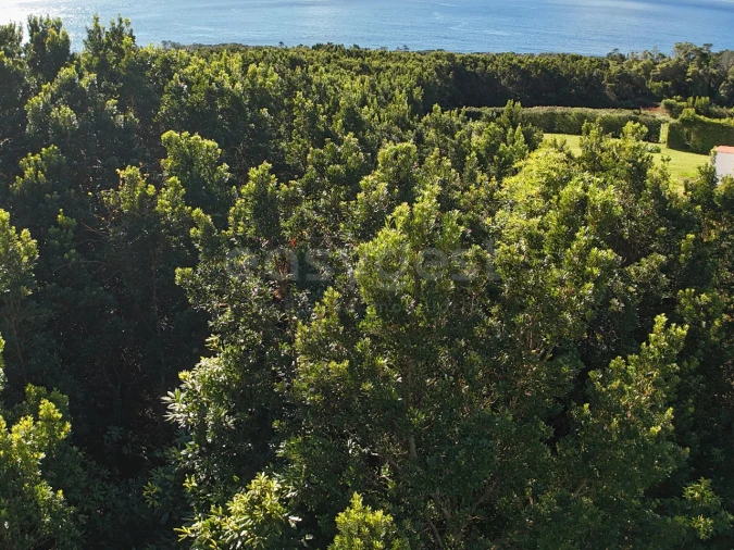 Terreno para Venda em São Mateus Foto 6