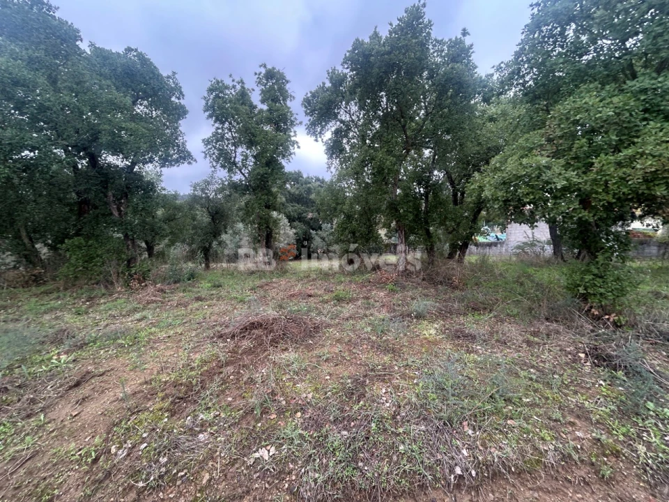 Terreno Agricola ou Rústico para Venda em Olalhas Foto 2