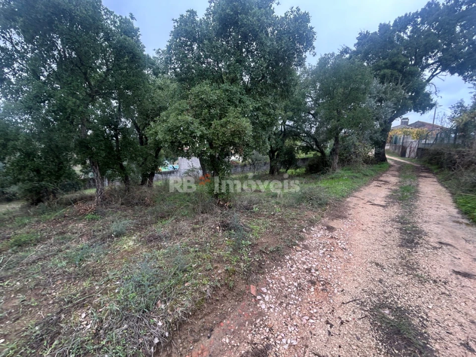 Terreno Agricola ou Rústico para Venda em Olalhas Foto 4