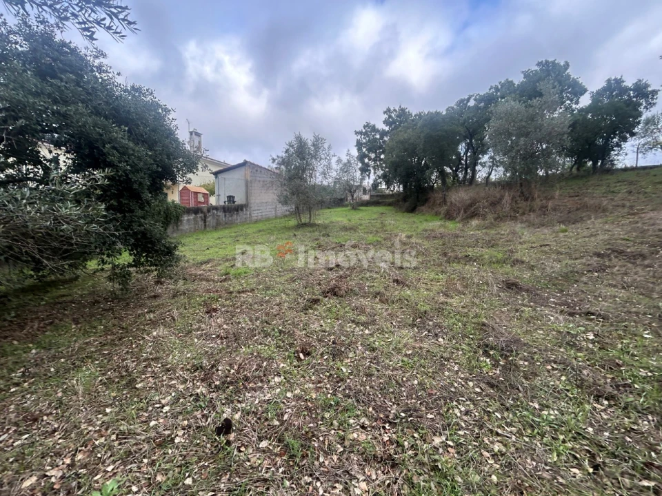Terreno Agricola ou Rústico para Venda em Olalhas Foto 7