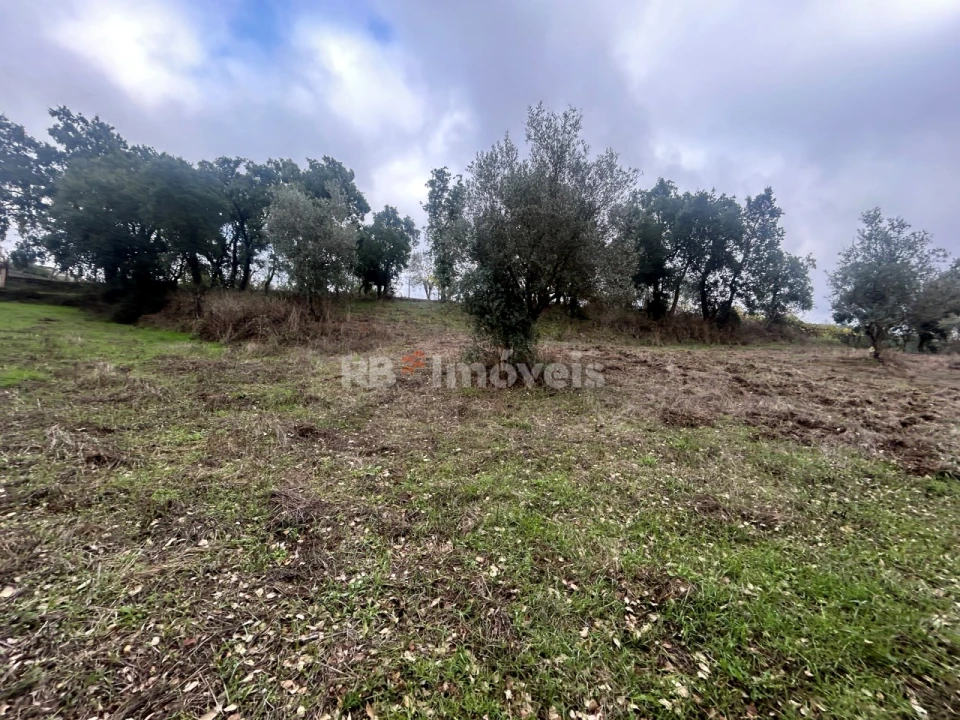 Terreno Agricola ou Rústico para Venda em Olalhas Foto 1