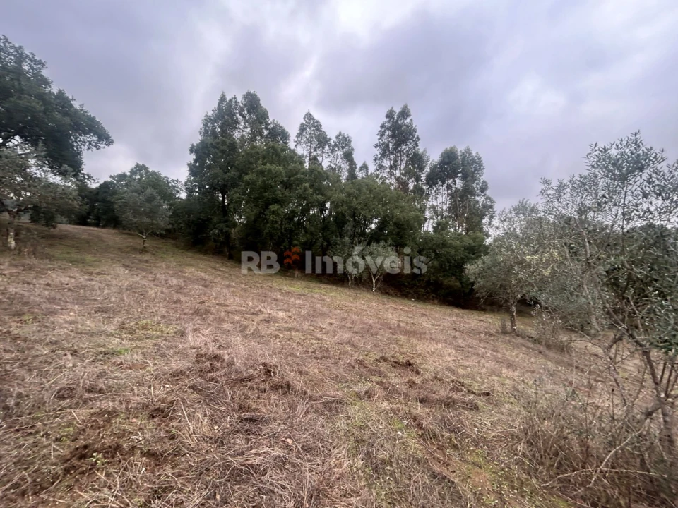 Terreno Agricola ou Rústico para Venda em Olalhas Foto 16