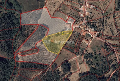 Terreno Agricola ou Rústico para Venda em Olalhas